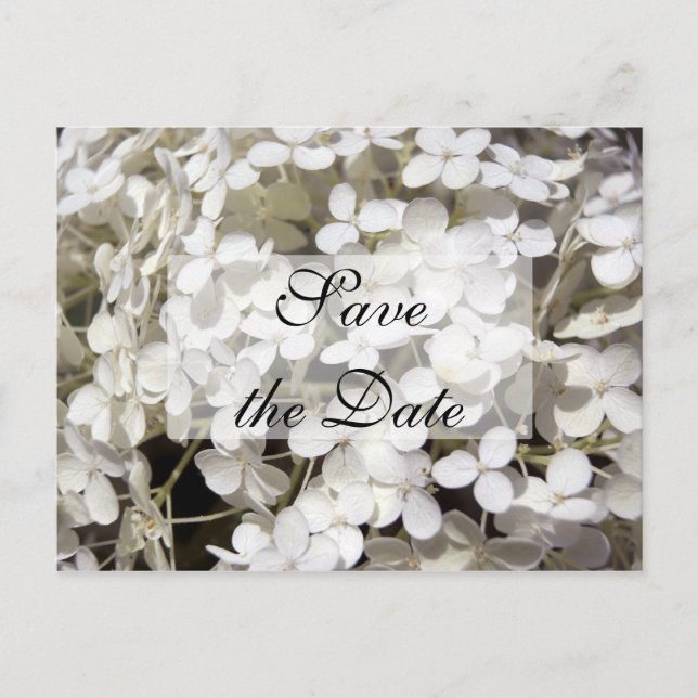 Carte Postale Faire-part White Hydrangea Enregistrer la date annonce (Devant)