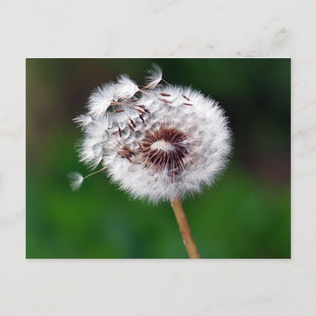 Carte postale - Faire un vœu (Devant)
