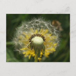Carte Postale faire un voeu