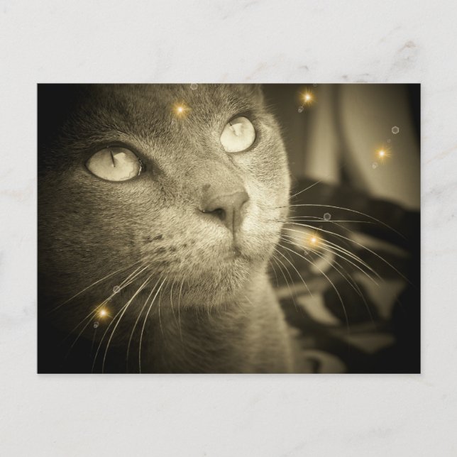 Carte Postale Faire un voeu (Devant)