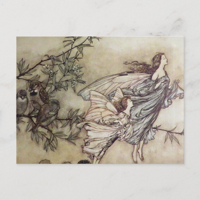 Carte Postale "Fairies Tiff with the Birds" par Arthur Rackham (Devant)