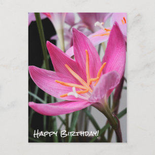 Carte postale Fairy Lily Anniversaire