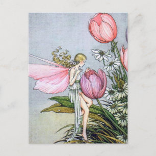 Carte postale Fairy Tulips Vintage Illustration