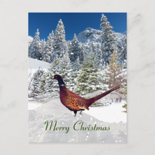 Carte Postale Faisan à collier de Noël du Dakota du Sud