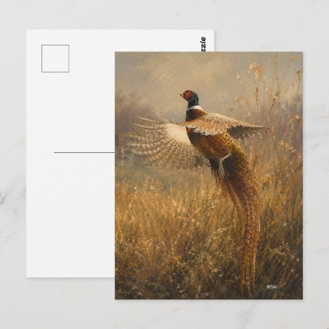 Carte Postale Faisan en vol doré (Devant / Derrière)
