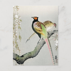 Carte Postale Faisans et fleurs de cerisier ++ Ohara Koson -