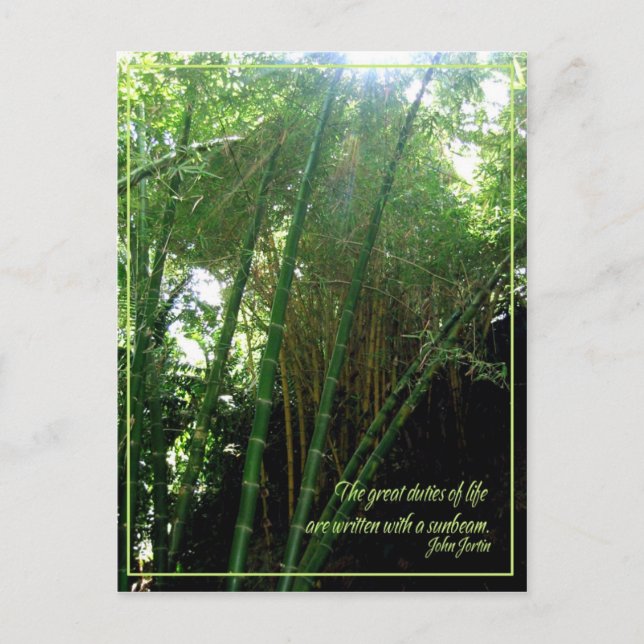 Carte Postale Faisceau (Devant)