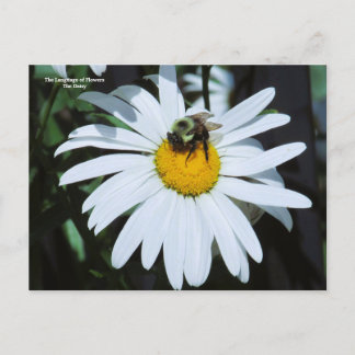 Carte Postale Faisée avec Bumblebee bébé