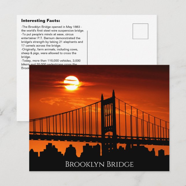 Carte Postale Fait intéressant Brooklyn Bridge (Devant / Derrière)