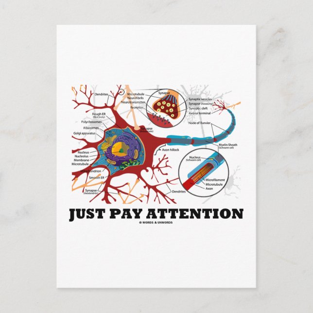 Carte Postale Faites attention (Neuron / Synapse) (Devant)