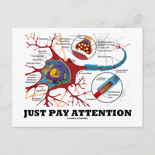 Carte Postale Faites attention (Neuron / Synapse) (Devant)