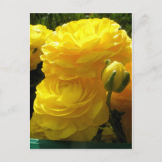 Carte Postale Faites le mien jaune