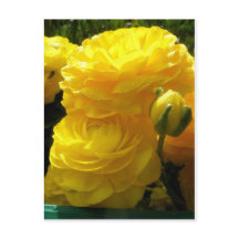Faites le mien jaune