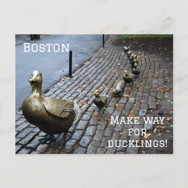 Carte Postale Faites place aux canetons (Devant)