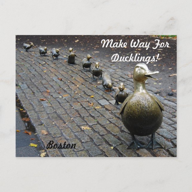 Carte Postale Faites place aux petits canards ! (Devant)