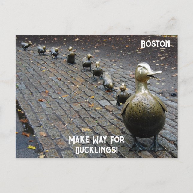 Carte Postale Faites place aux petits canards ! (Devant)
