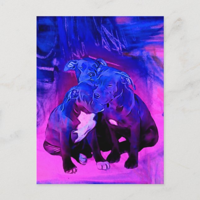 Carte Postale Faith Hope & Charity, Abused Pit Bull Dogs (Devant)