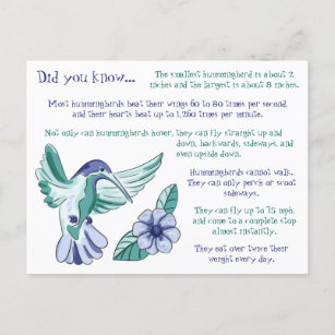 Carte Postale Faits amusants sur les colibris