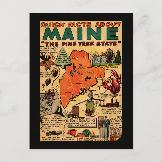 Carte Postale Faits Rapides Sur Le Maine (Devant)