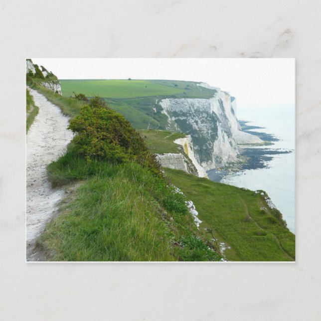 Carte Postale Falaises Blanches De Douvres (Devant)
