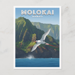 Carte Postale Falaises de la côte nord de Molokai Kaunakakai Haw