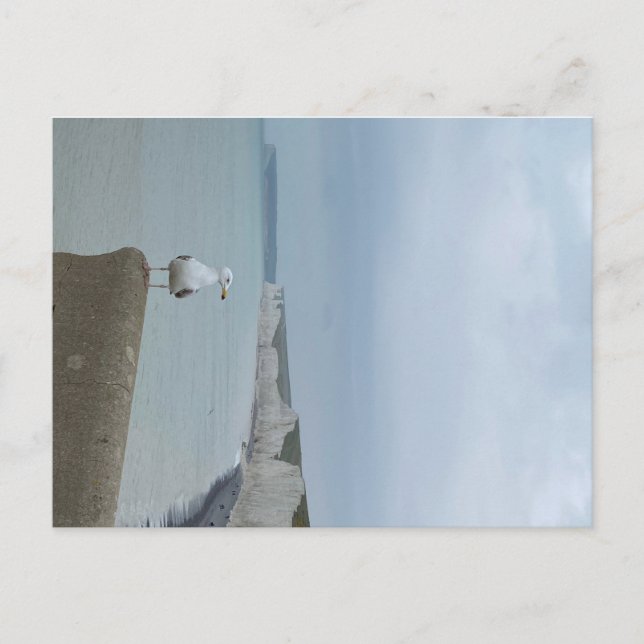 Carte Postale Falaises de Seagul et de blanc de Sept Soeurs, Roy (Devant)