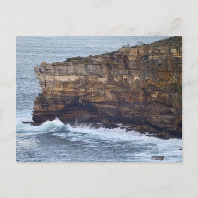 Carte Postale Falaises de South Head (Devant)