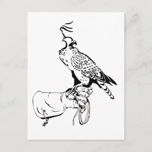Carte postale Falcon sur gant