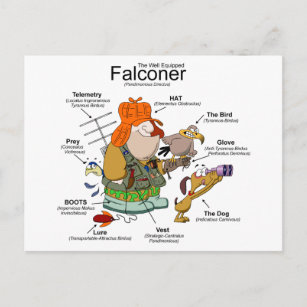 Carte postale Falconer