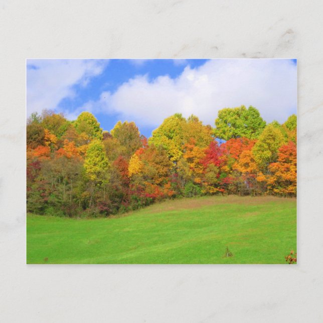 Carte Postale fall colors (Devant)