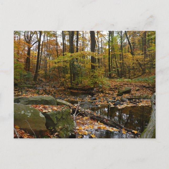 Carte Postale Fall Creek avec réflexion à Laurel Hill Park (Devant)