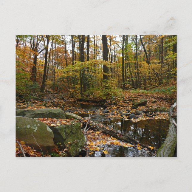 Carte Postale Fall Creek avec réflexion à Laurel Hill Park (Devant)