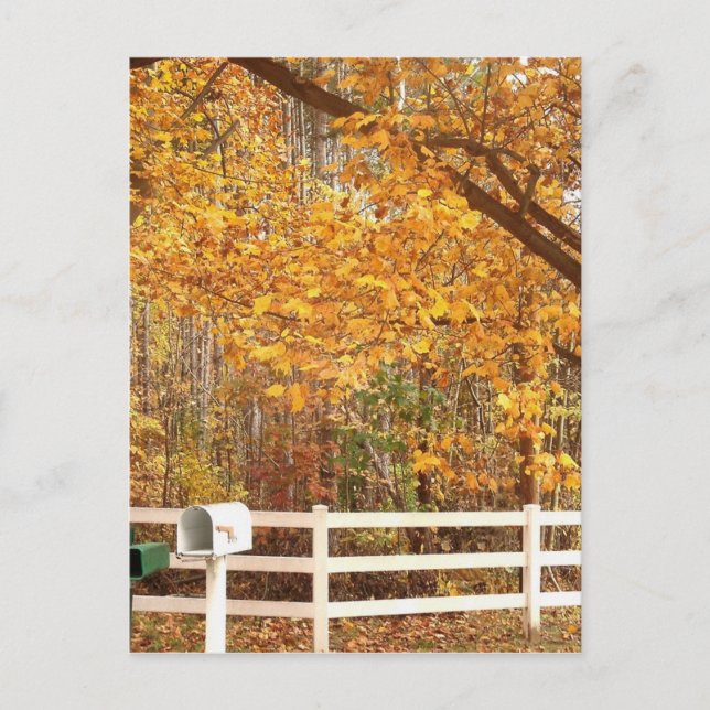 Carte Postale Fall Day postcard (Devant)