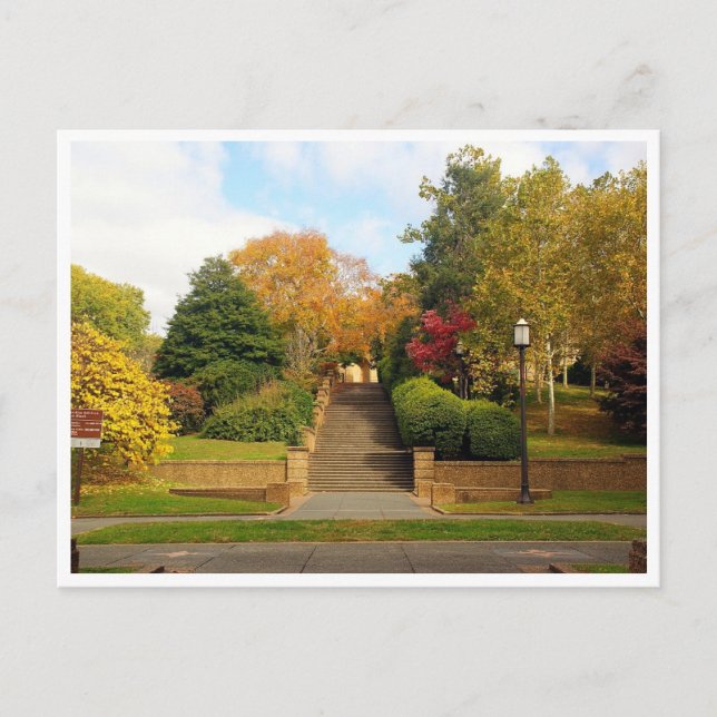 Carte postale Fall Foliage Washington, D.C. (Devant)