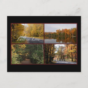 Carte Postale Fall In Love Wisconsin 2
