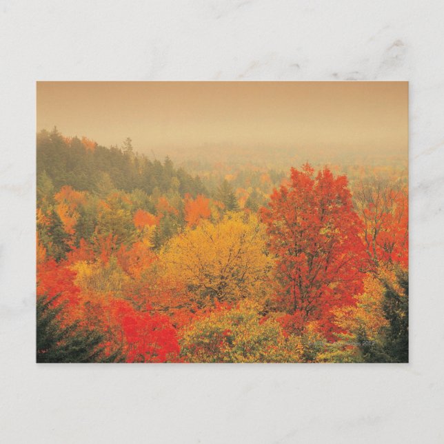 Carte Postale Fall landscape, New Hampshire, USA (Devant)