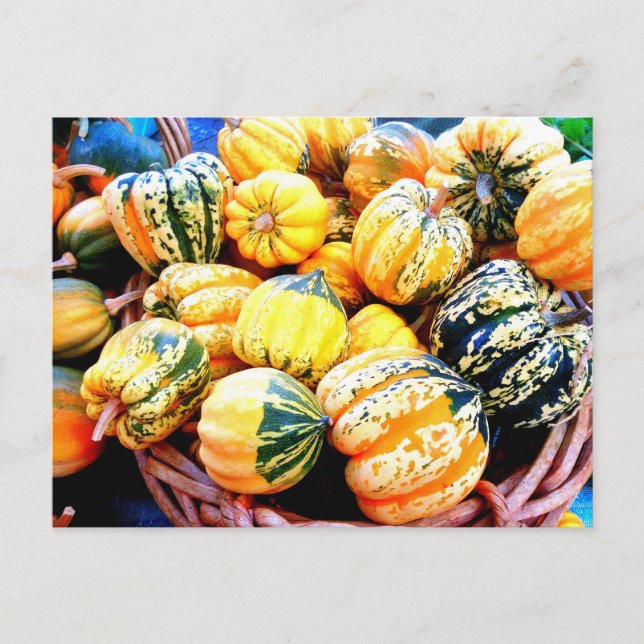 Carte Postale Fall Squash (Devant)