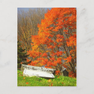 Carte Postale Fallen