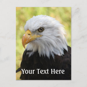 Carte Postale Falln Bald Eagle Liberty