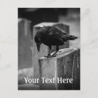 Falln Cemetery Crow