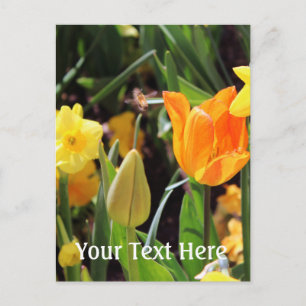 Carte Postale Falln Little Bee en vol