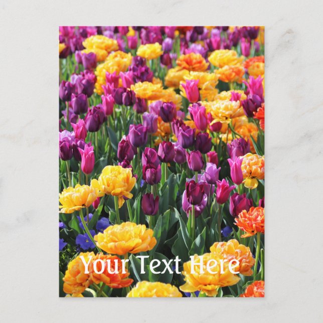 Carte Postale Falln Sunset Floral River (Devant)