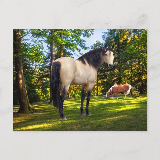 Carte Postale Fallon (Devant)