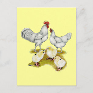 Carte Postale Famille Austra White