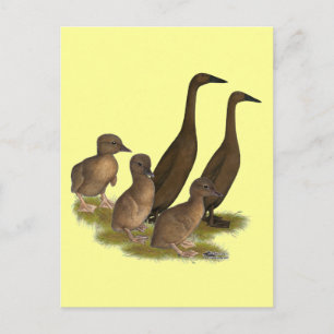 Carte Postale Famille de canards coureurs au chocolat