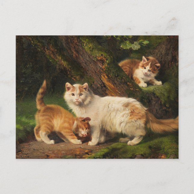 Carte Postale Famille de chat Jouer | Julius Adam le Jeune (Devant)