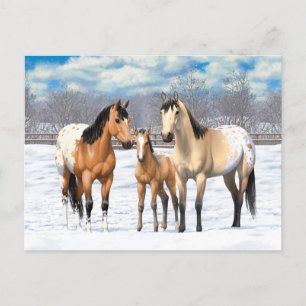 Carte Postale Famille De Cheval Appaloosa En Peau De Bouche En N
