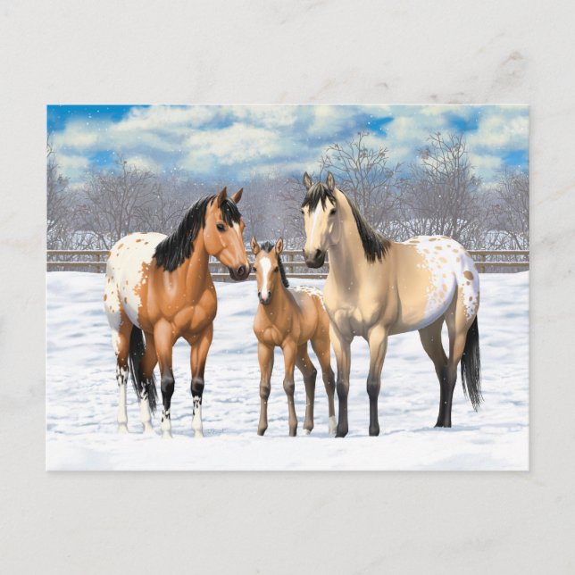 Carte Postale Famille De Cheval Appaloosa En Peau De Bouche En N (Devant)