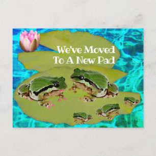 Carte Postale Famille de grenouilles humoristiques sur Lily Pad