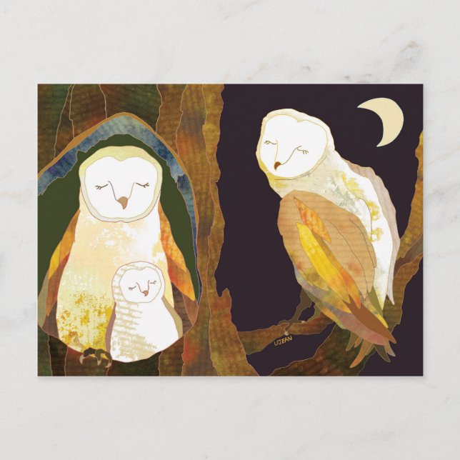 Carte Postale Famille de Owl (Devant)